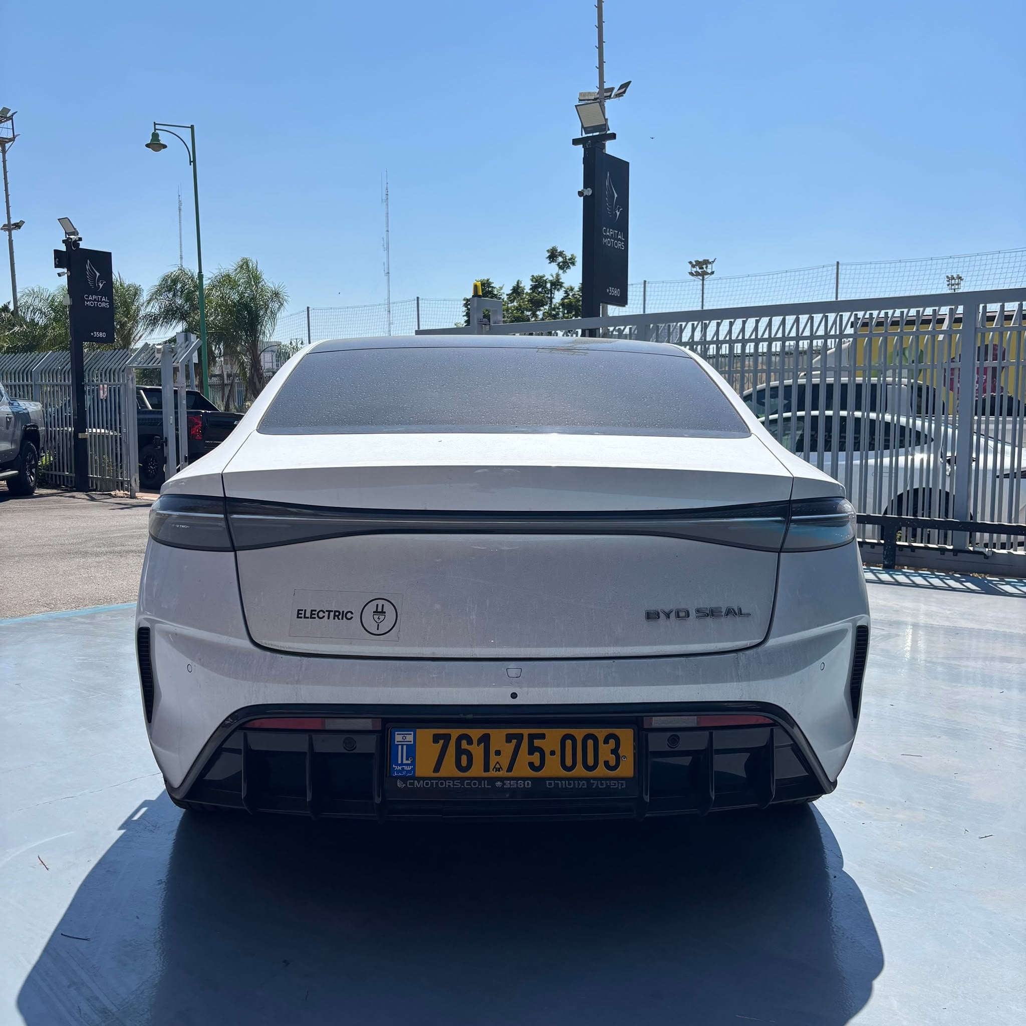 BYD סיל 2024