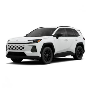 E-XPERIENCE היברידי 2.5 ליטר