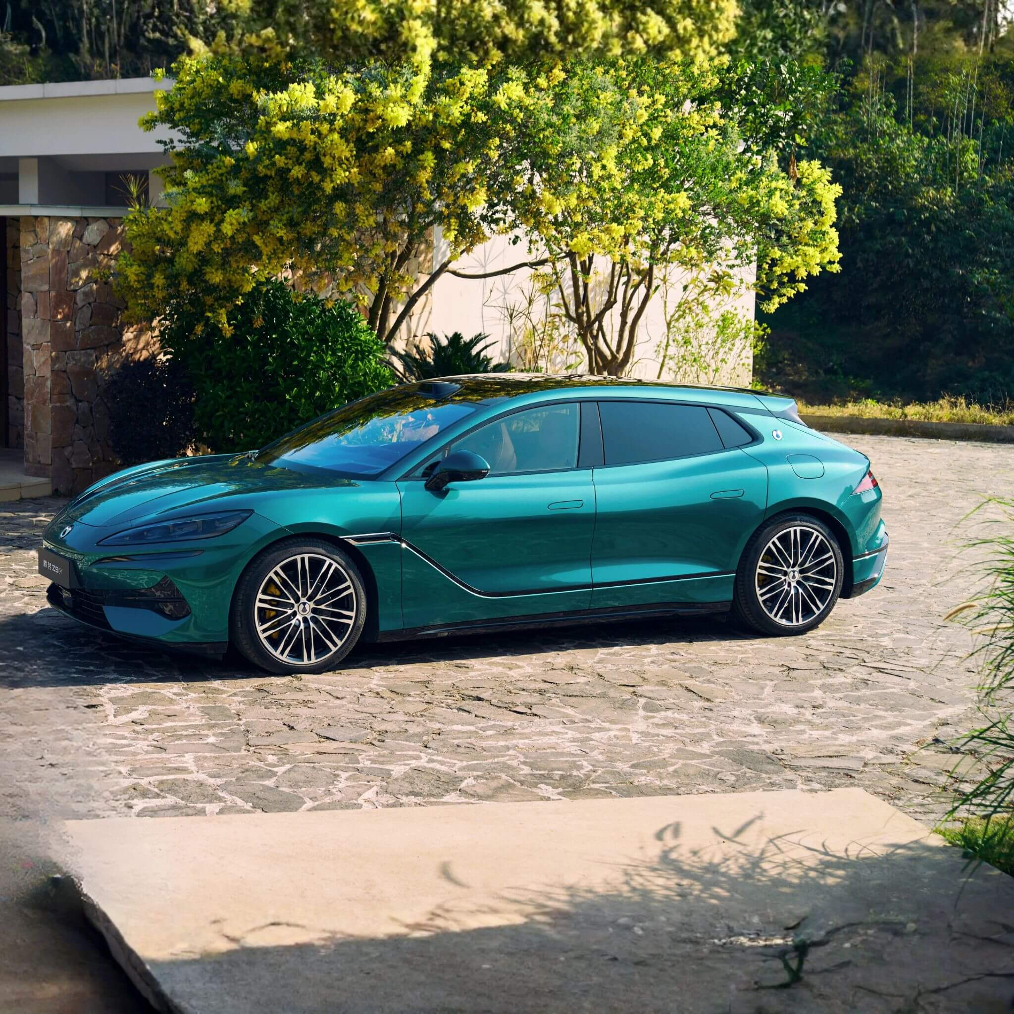 דנזה-Z-2026-JPG